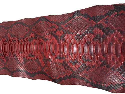 The Alluring Charms of Snake Skin Leather Type