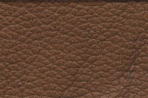 The Distinctive Charm of Goatskin Leather Type