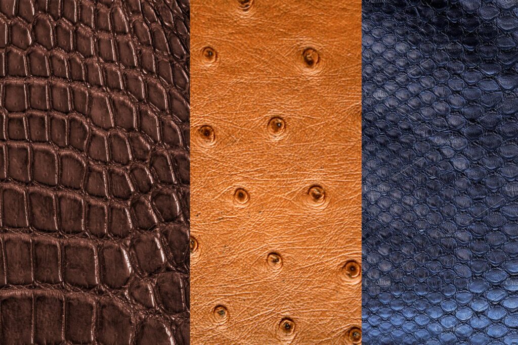 The Enchanting Allure of Exotic Leather Types