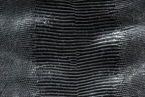 The Intricate Allure of Lizard Skin Leather Type